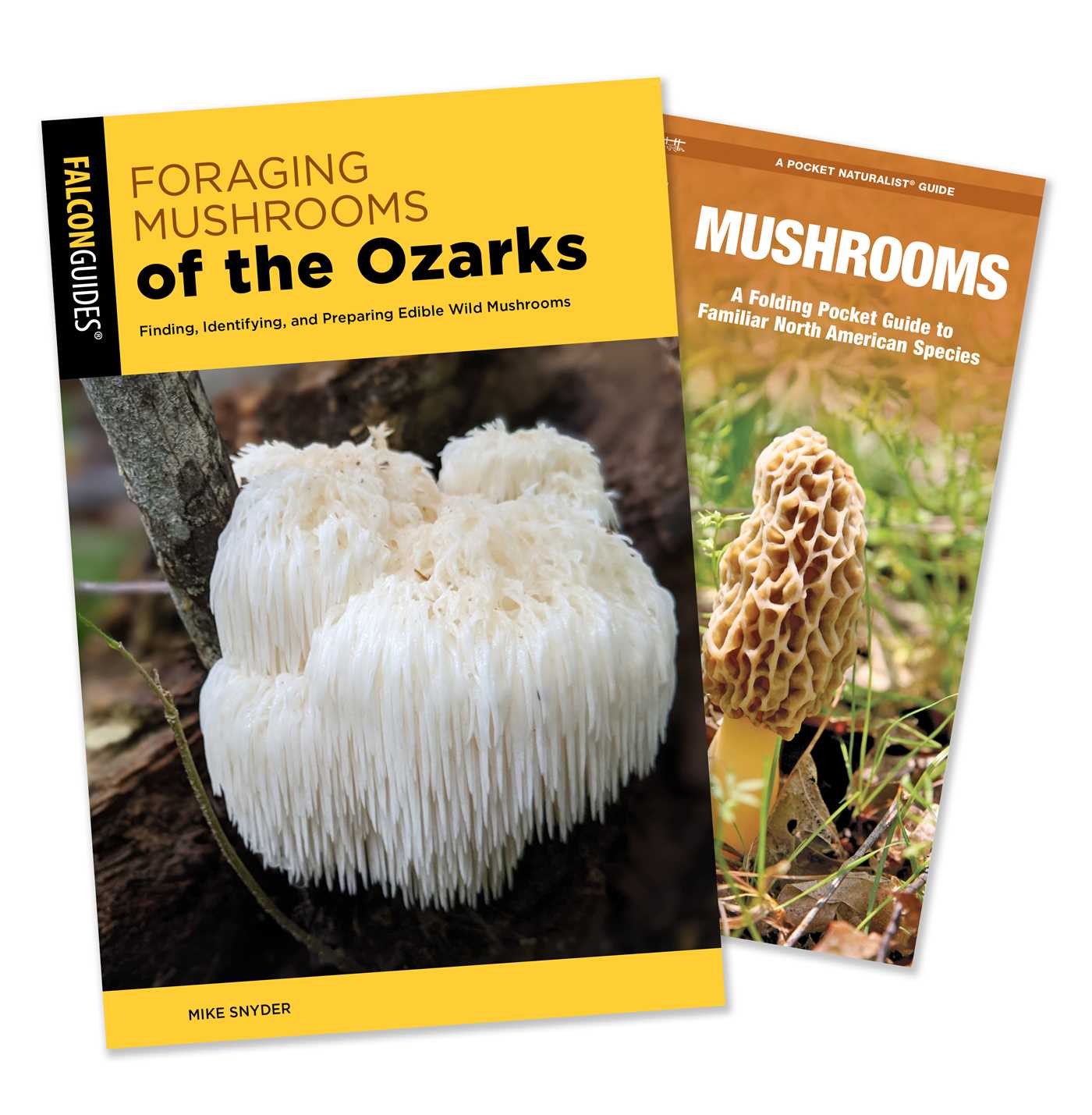 Foraging Mushrooms of the Ozarks Guidebook and Folding Pocket Guide Bundle