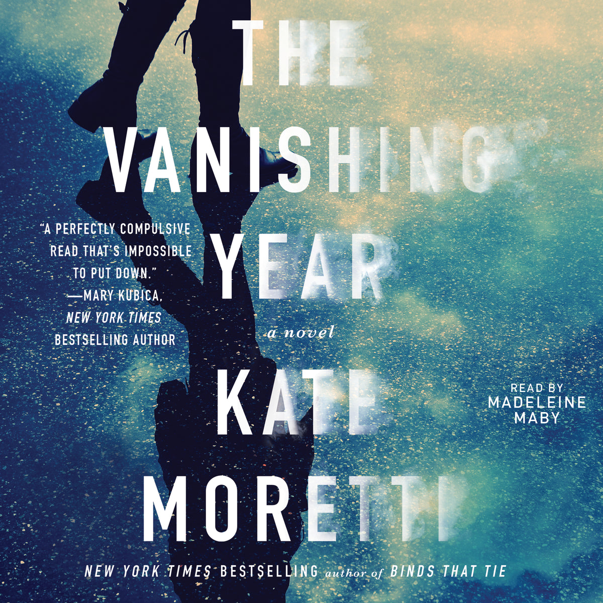 Vanishing Year: A Novel