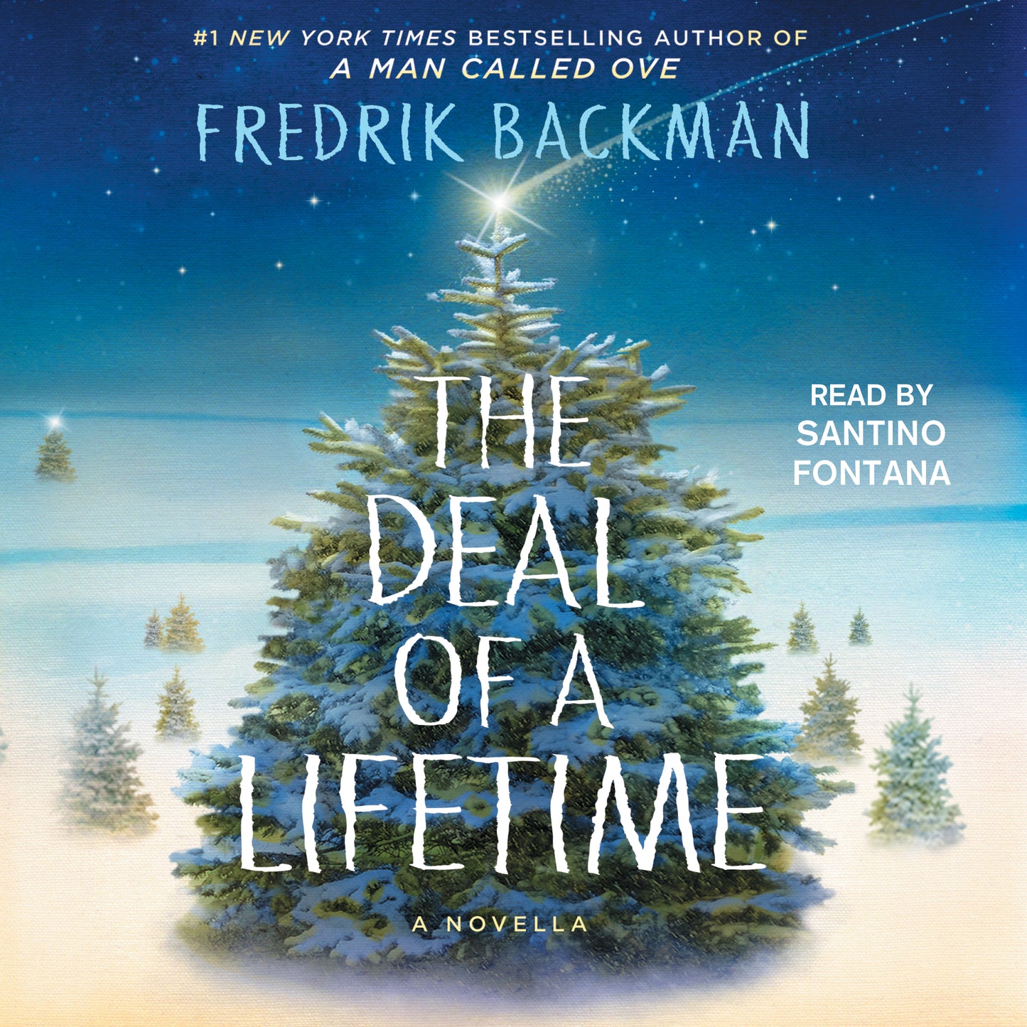 Deal of a Lifetime: A Novella
