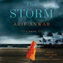 Storm: A Novel