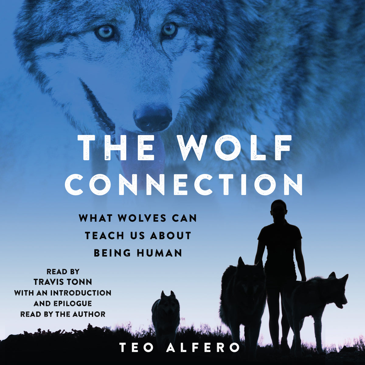 Wolf Connection: What Wolves Can Teach Us About Being Human