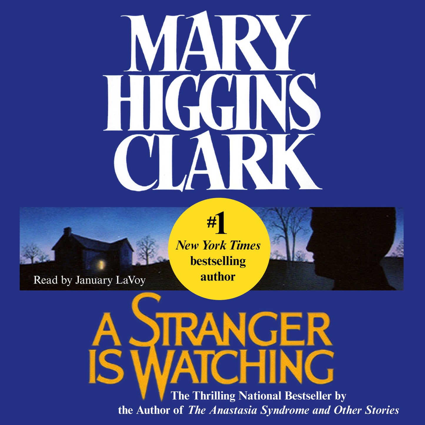 Stranger is Watching