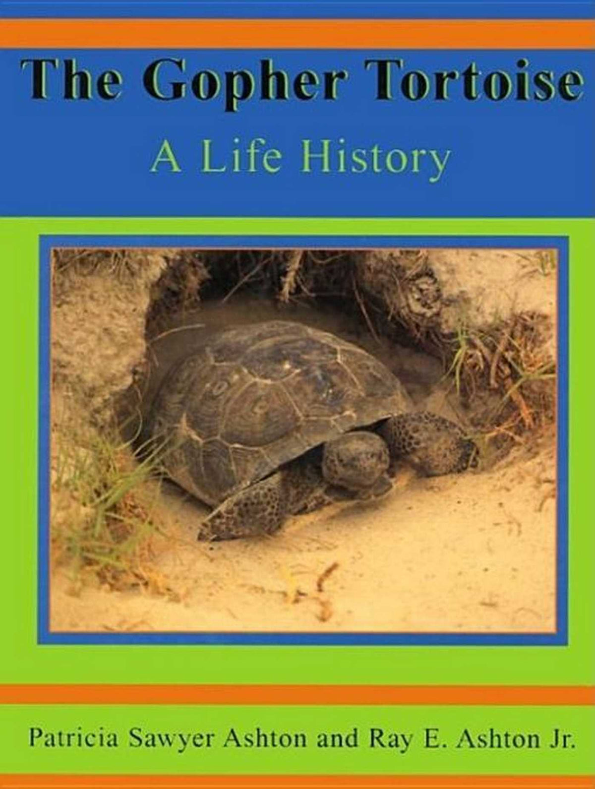 Gopher Tortoise