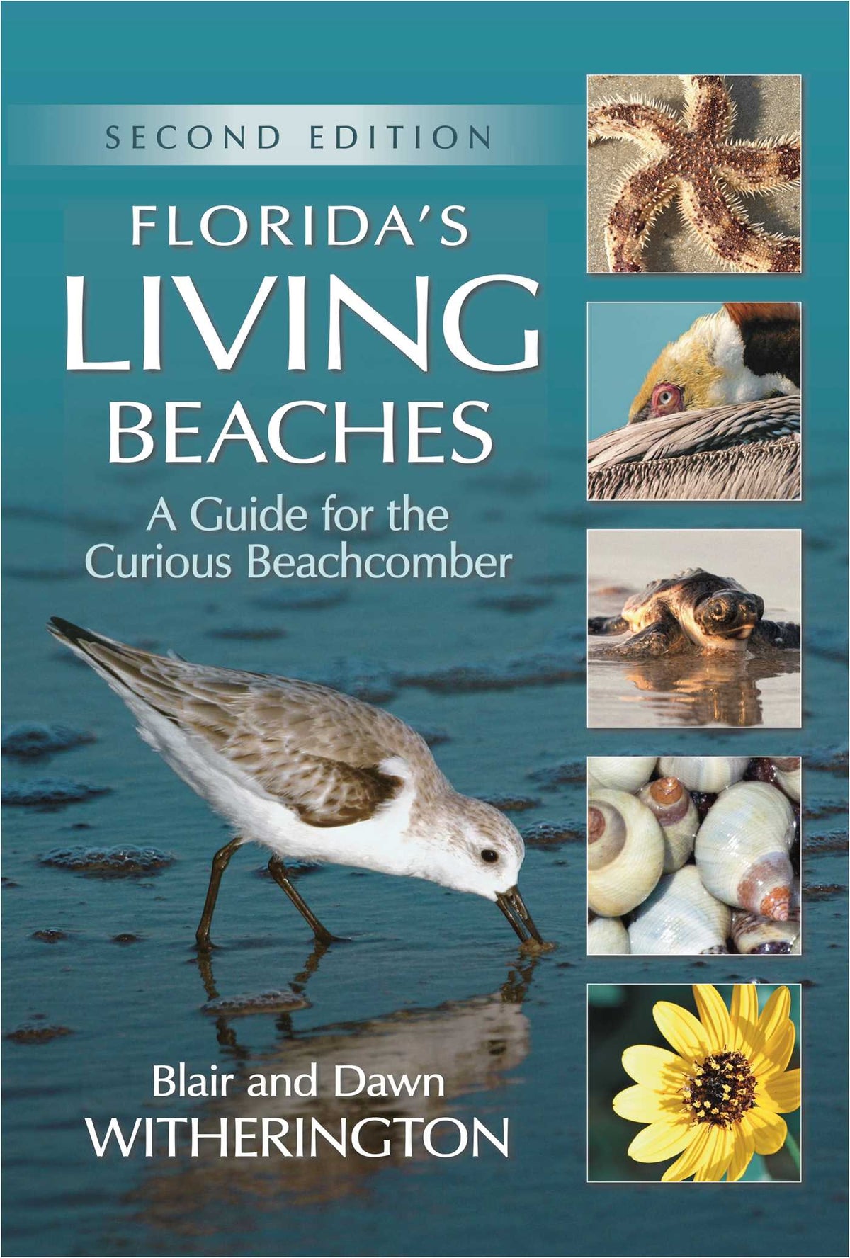 Florida's Living Beaches