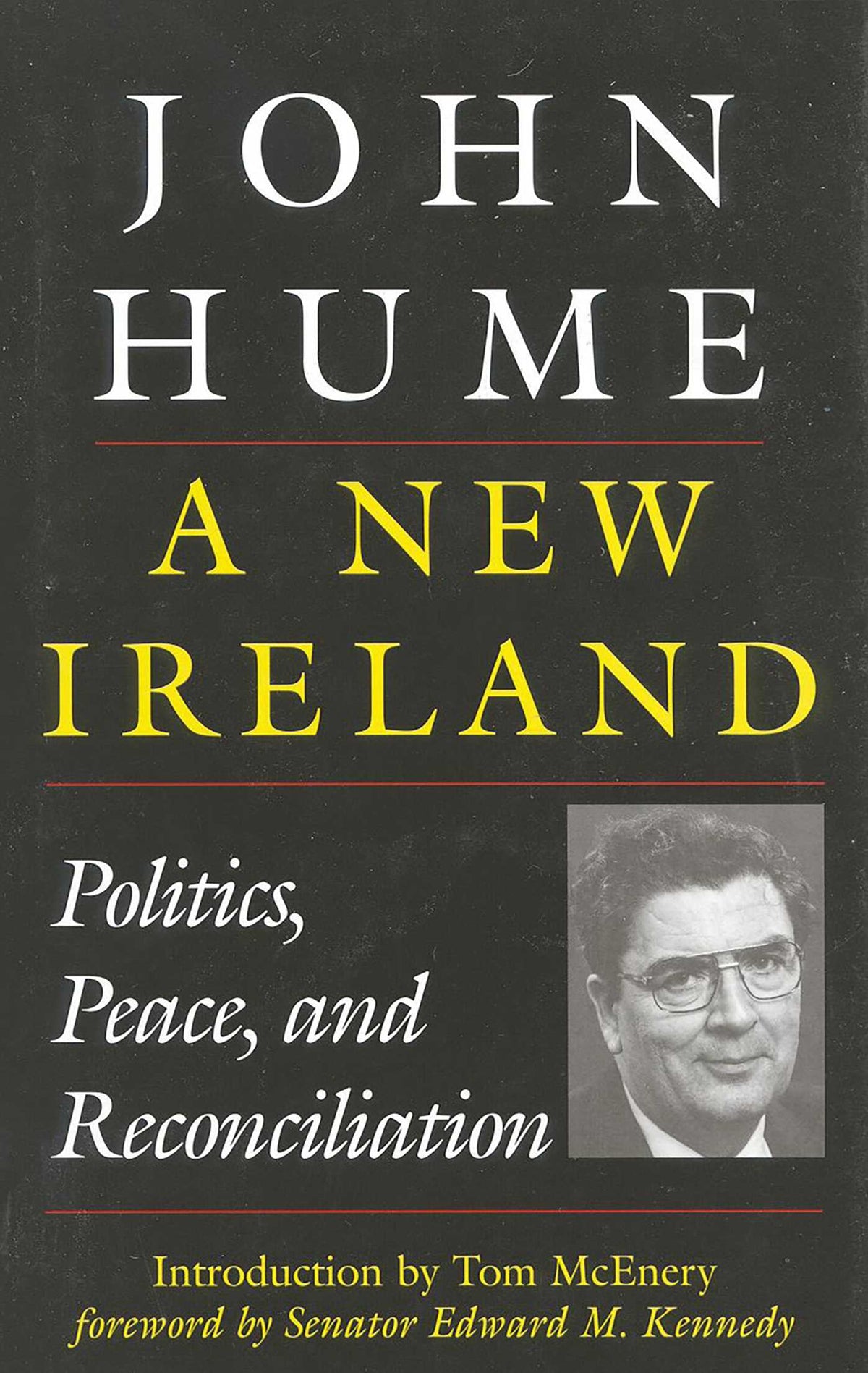 New Ireland: Politics, Peace, and Reconciliation