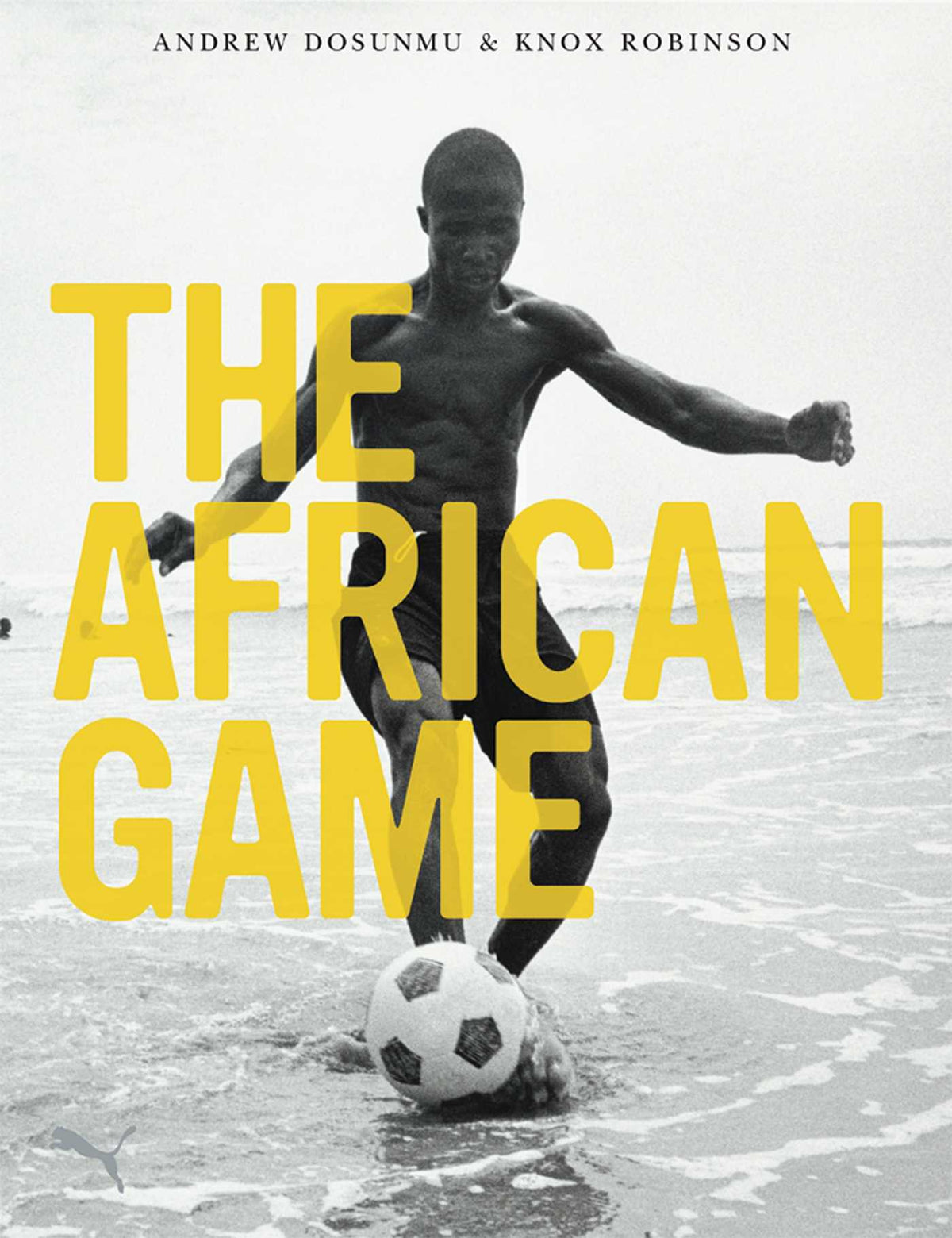 African Game