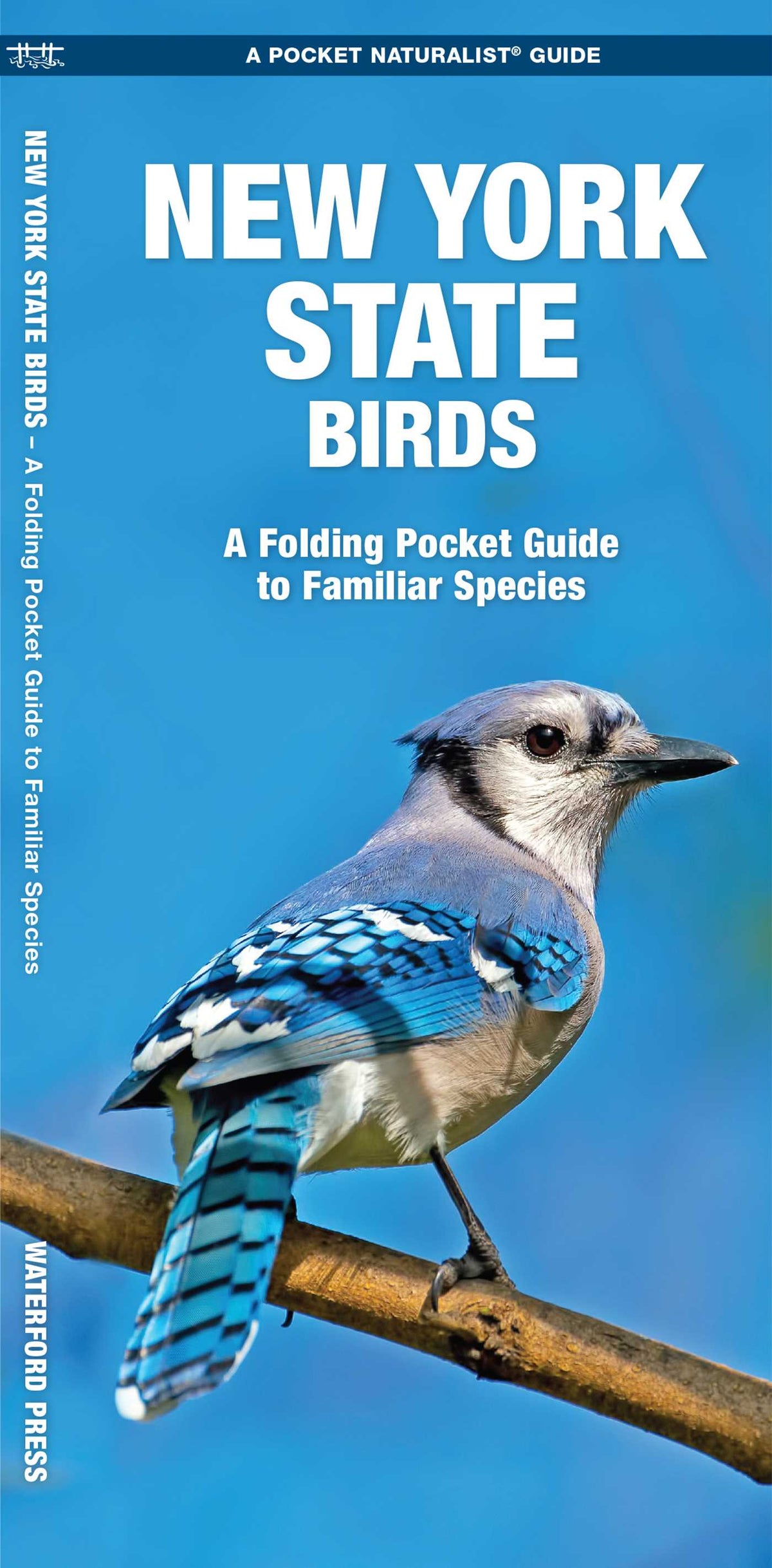 New York State Birds