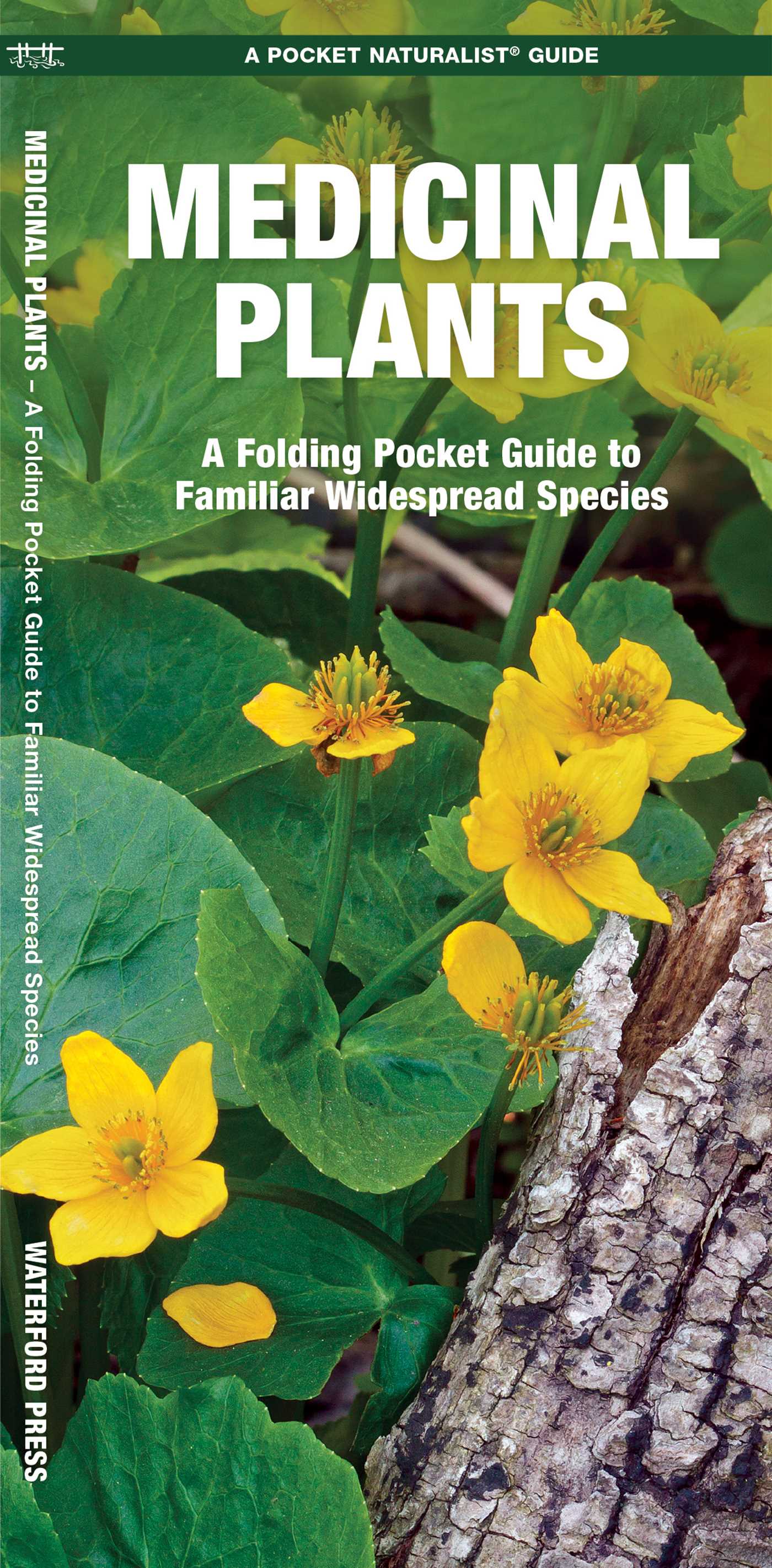 Medicinal Plants
