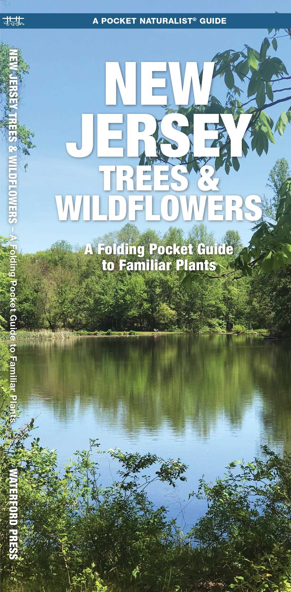 New Jersey Trees & Wildflowers