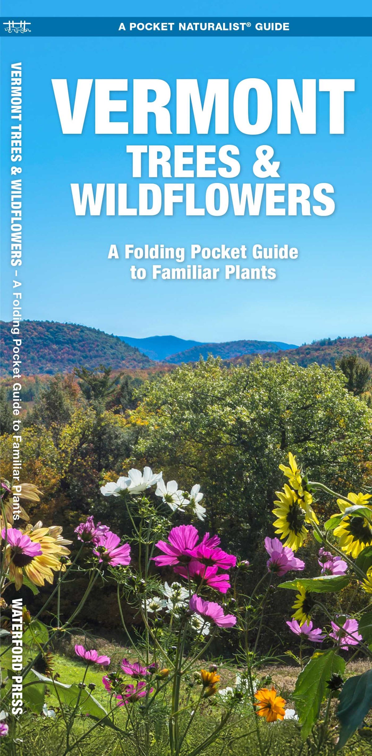 Vermont Trees & Wildflowers