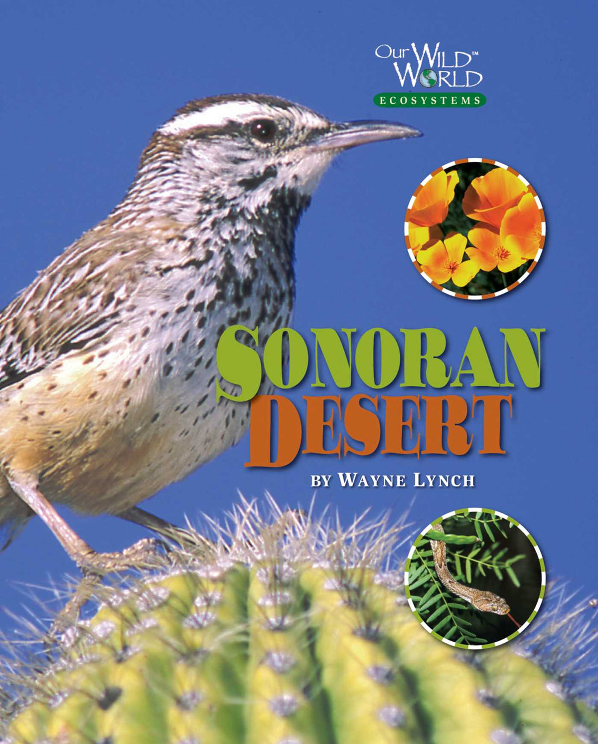 Sonoran Desert