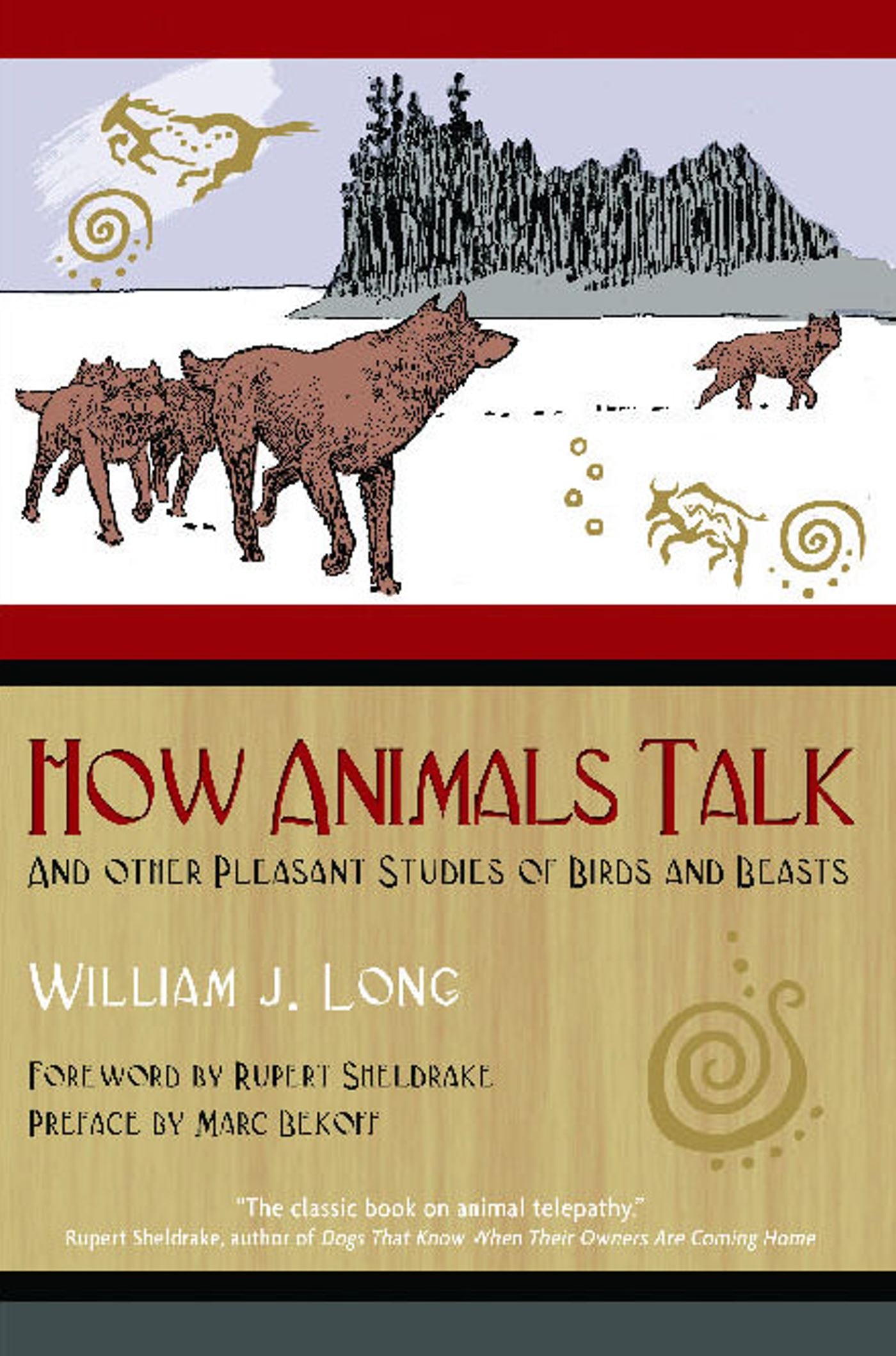 How Animals Talk