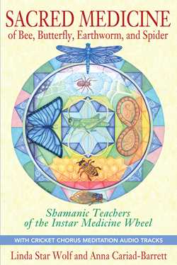 Sacred Medicine of Bee, Butterfly, Earthworm, and Spider