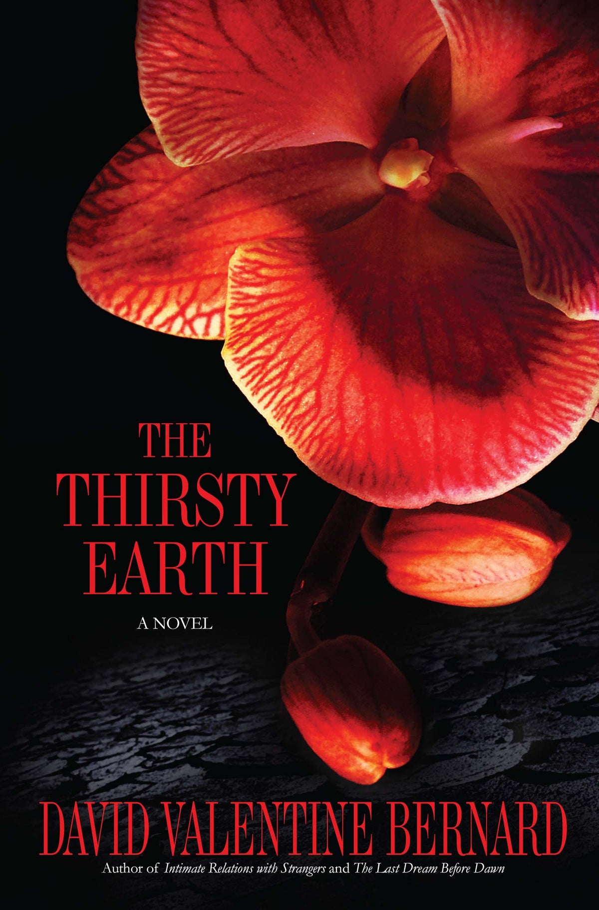 Thirsty Earth: A Novel
