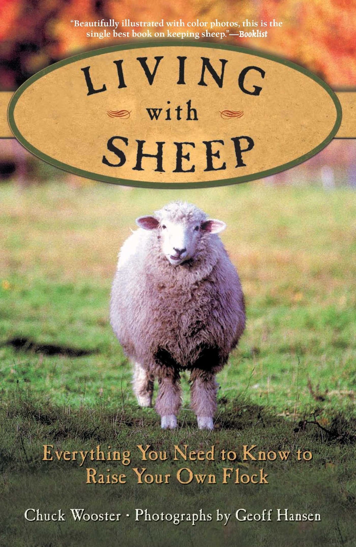 Living with Sheep