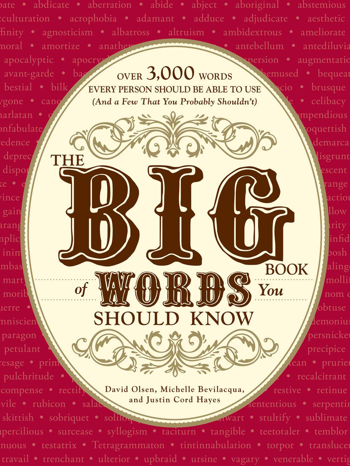 Big Book of Words You Should Know: Over 3,000 Words Every Person Should be Able to Use (And a few that you probably shouldn't)