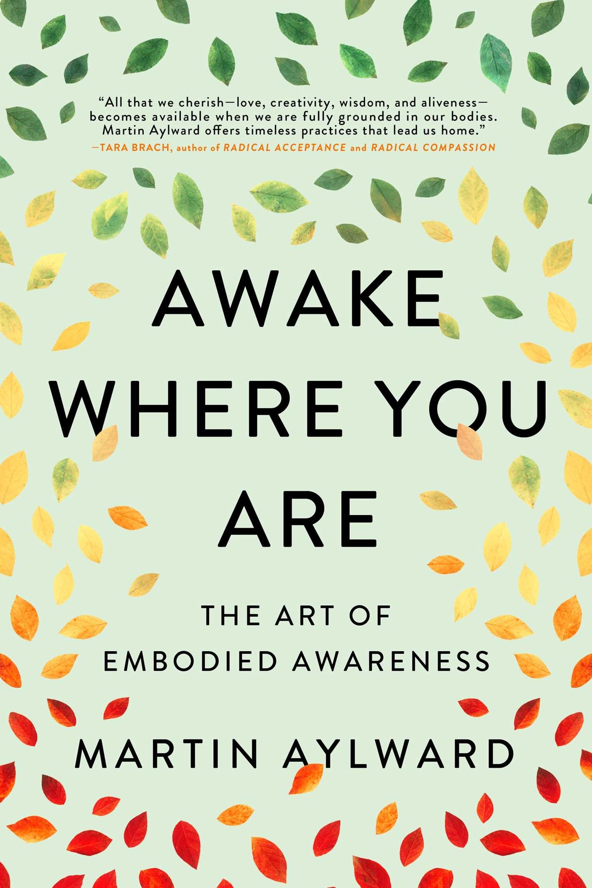 Awake Where You Are