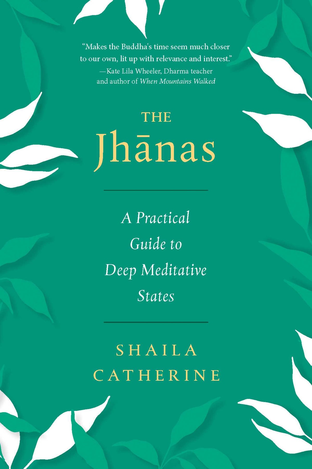 Jhanas: A Practical Guide to Deep Meditative States