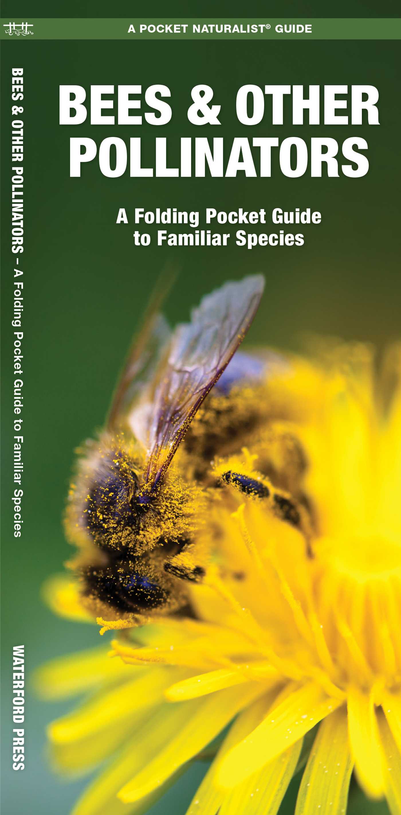 Bees & Other Pollinators
