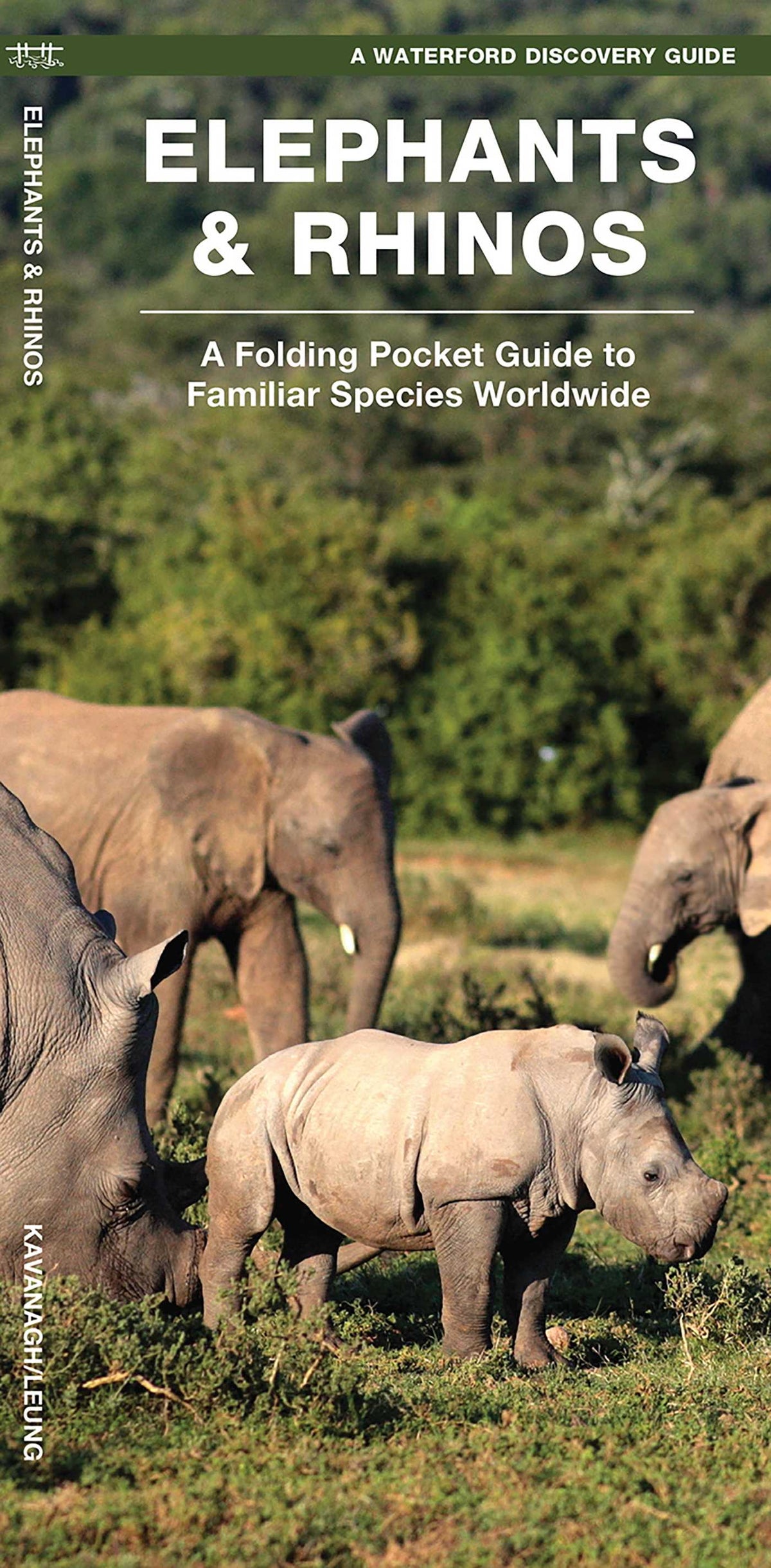 Elephants & Rhinos