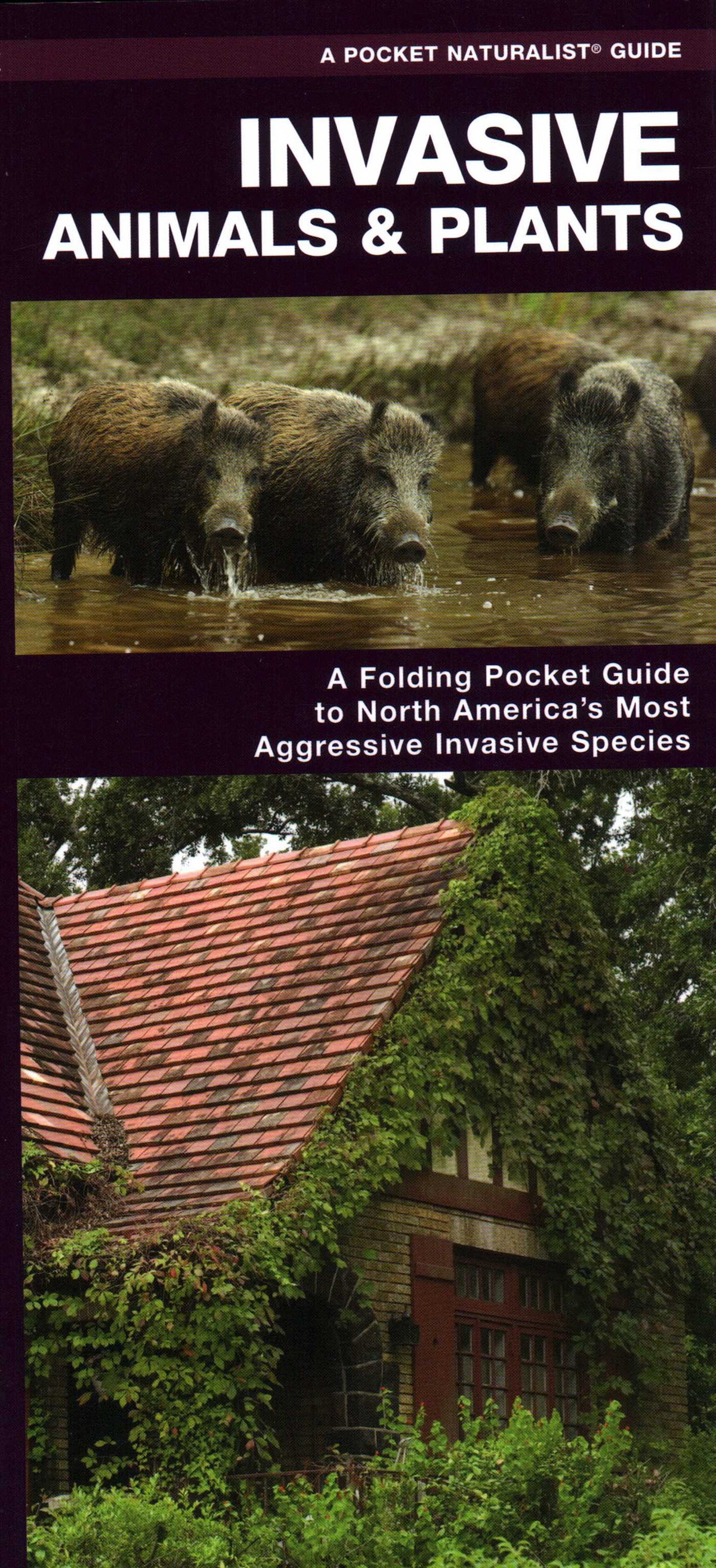 Invasive Animals & Plants