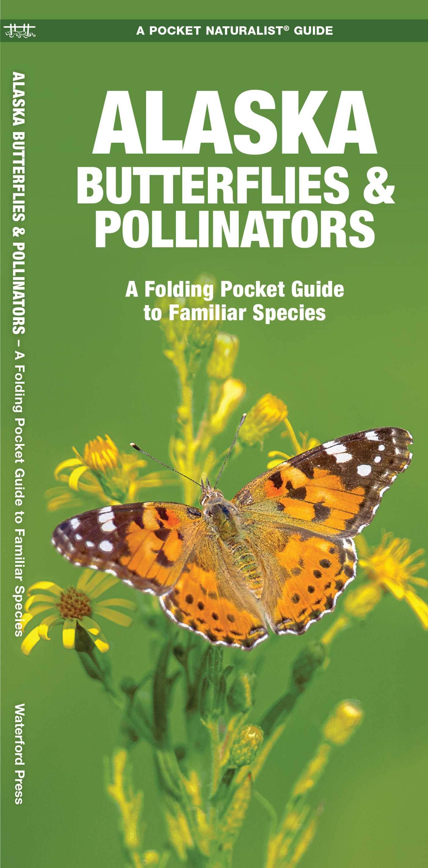 Alaska Butterflies & Pollinators