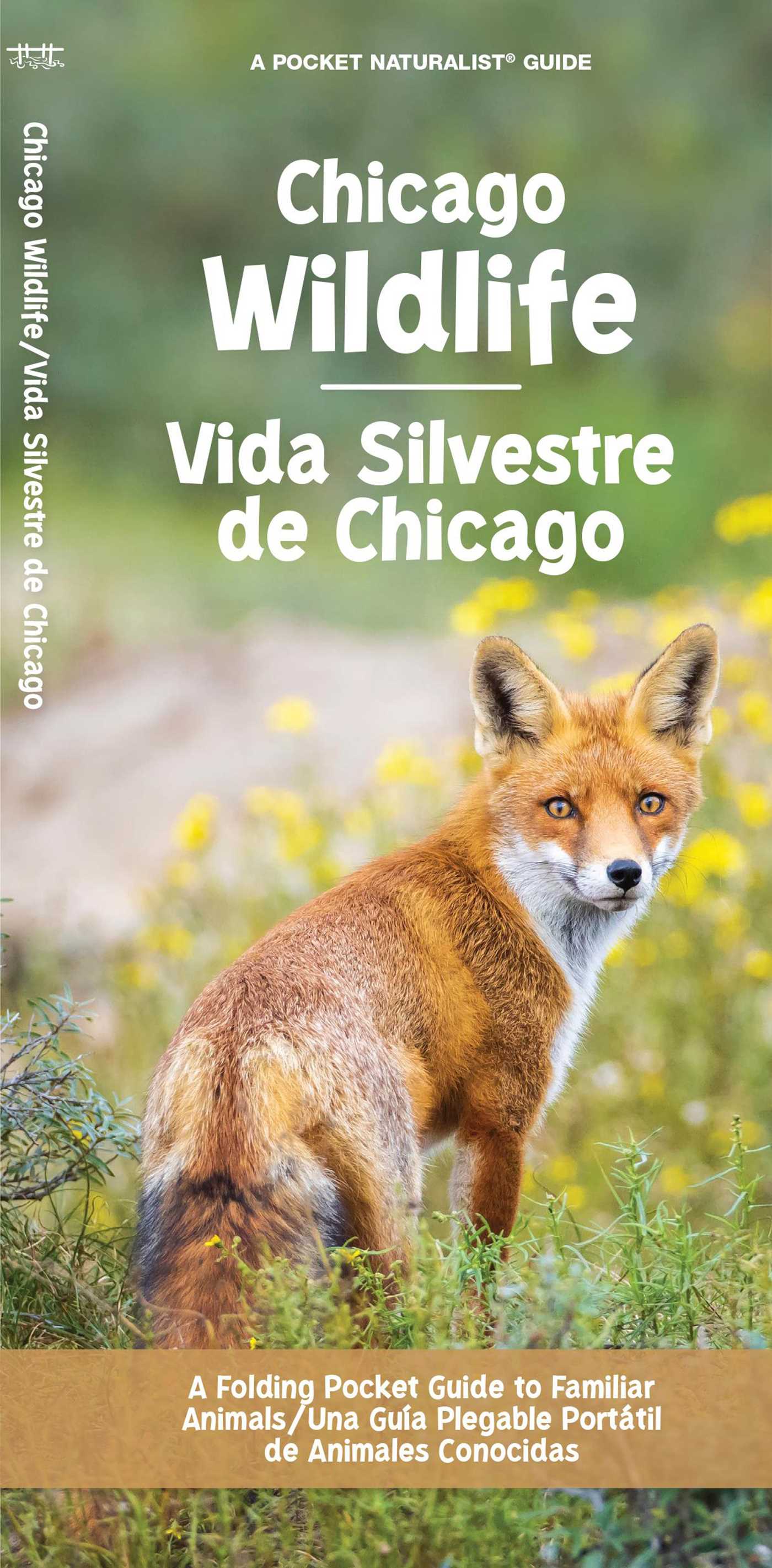 Chicago Wildlife/Vida Silvestre de Chicago