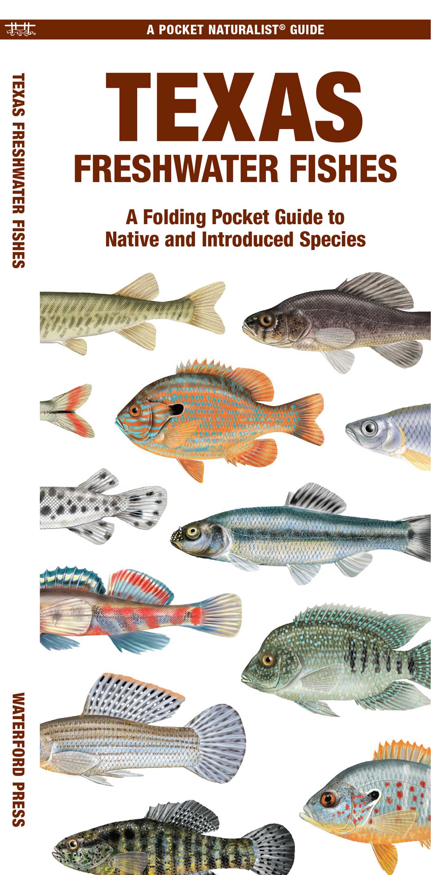 Texas Freshwater Fishes
