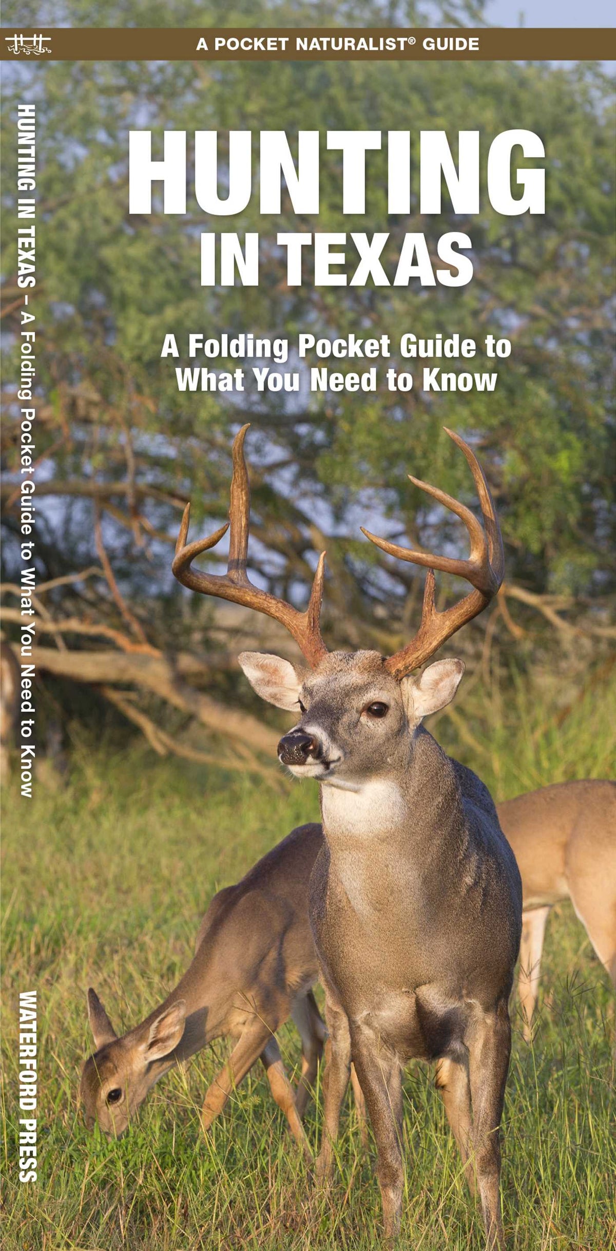 Hunting in Texas