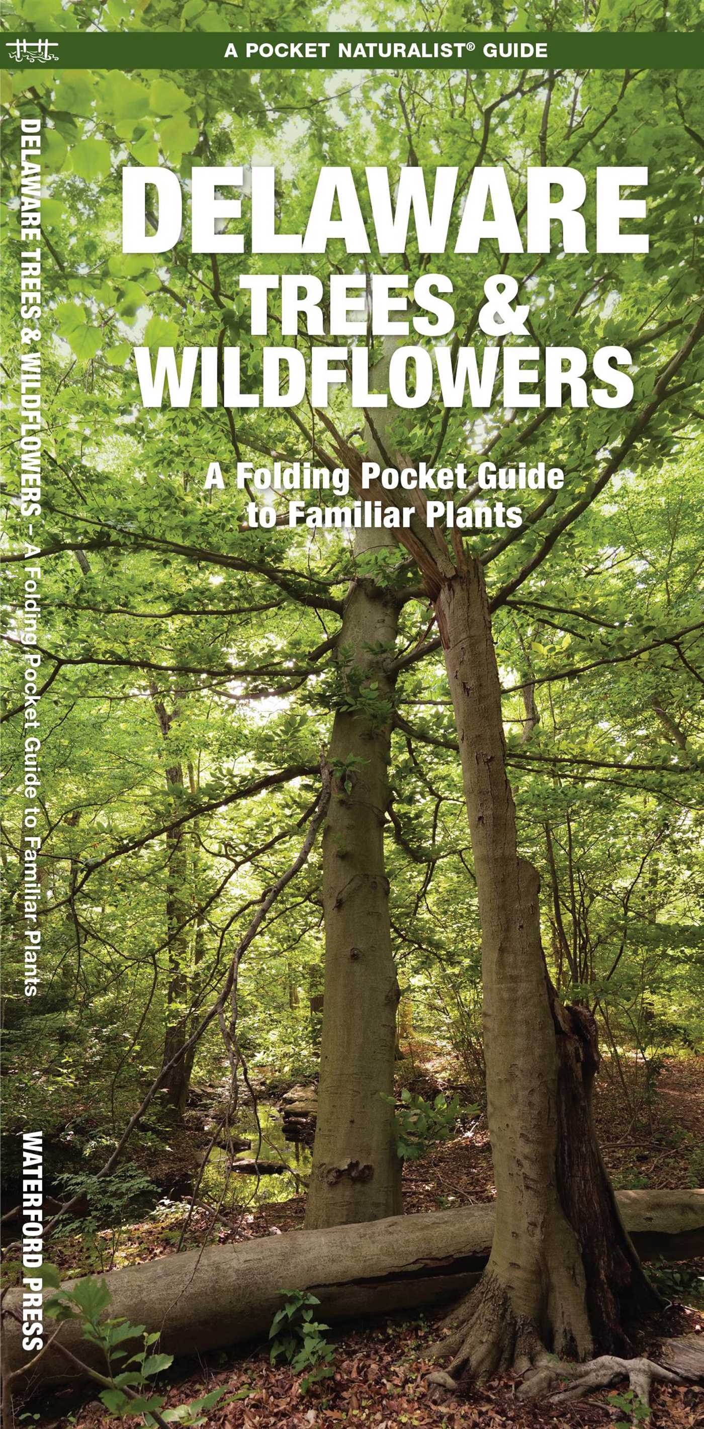Delaware Trees & Wildflowers, 2nd Ed