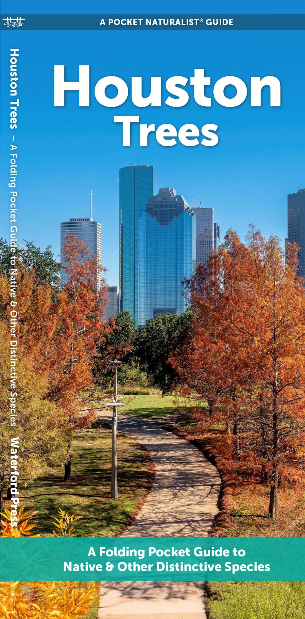 Houston Trees
