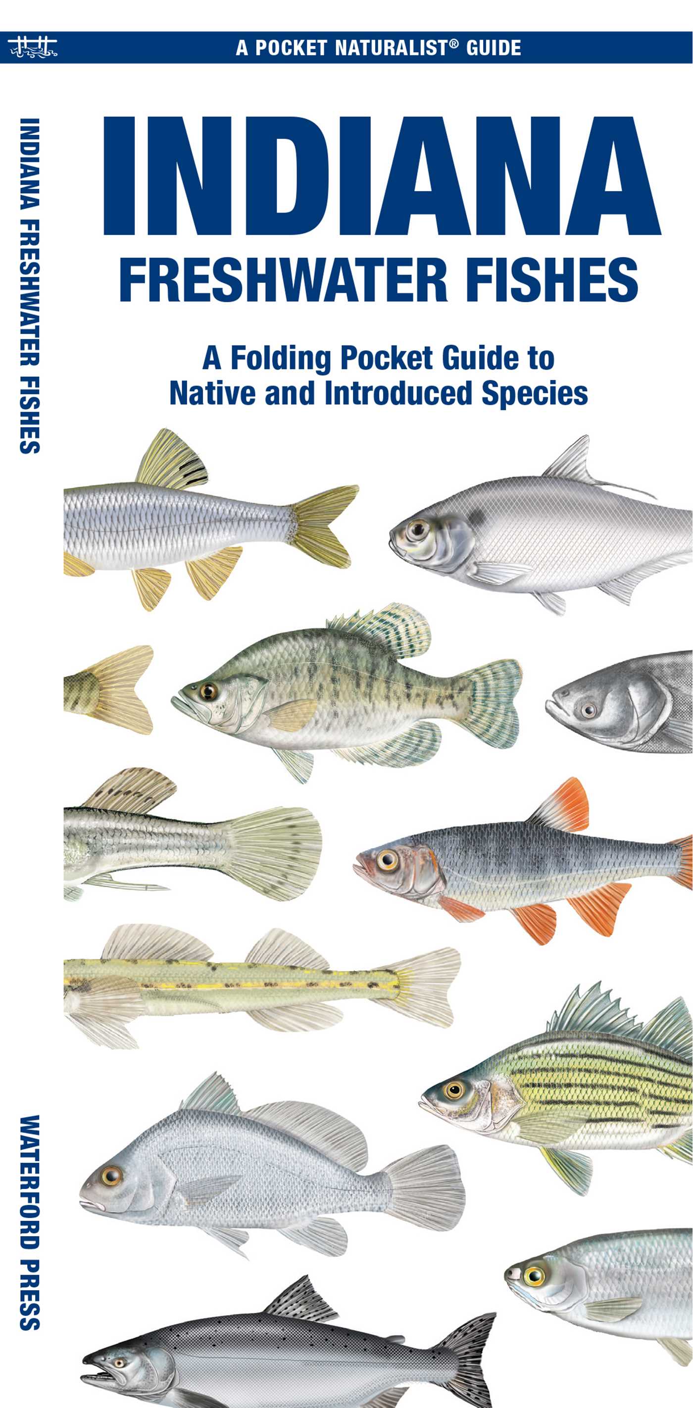 Indiana Freshwater Fishes