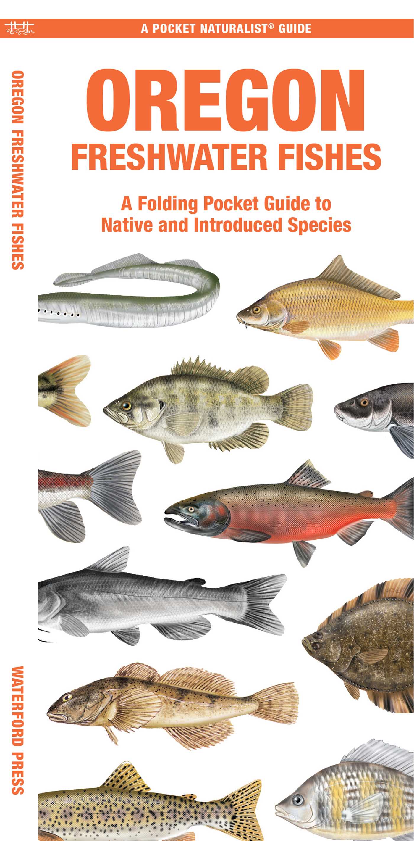 Oregon Freshwater Fishes