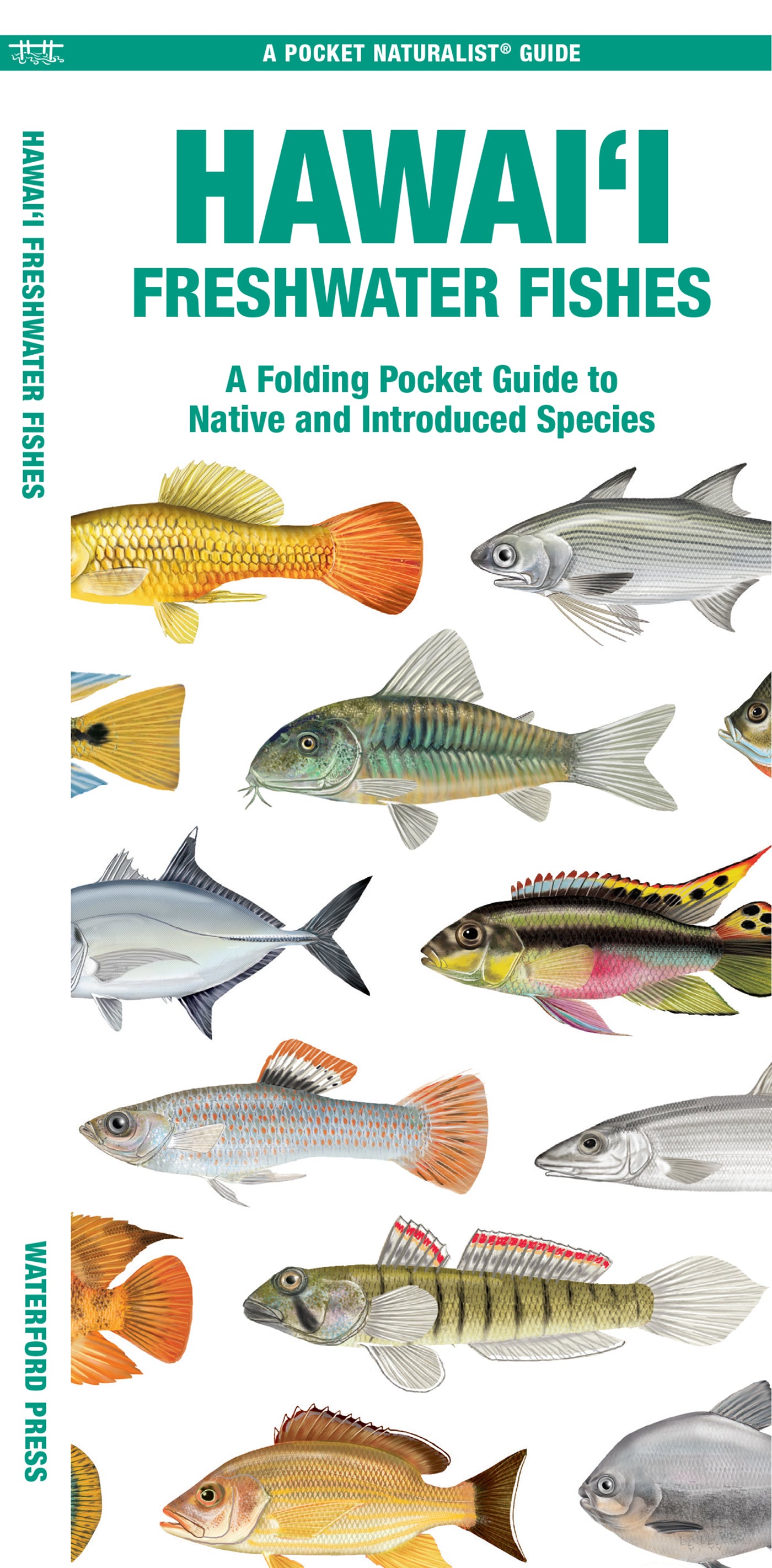 Hawai'i Freshwater Fishes