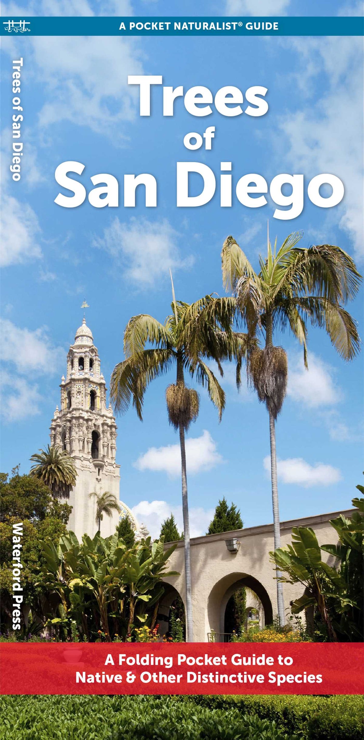 Trees of San Diego