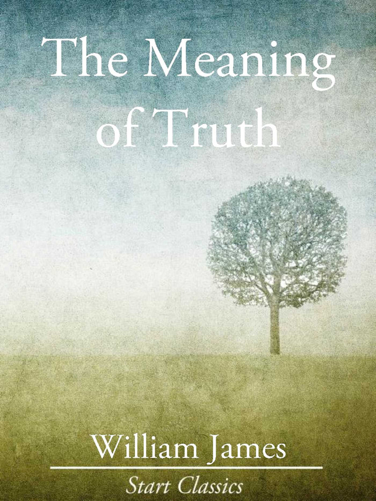 Meaning of Truth