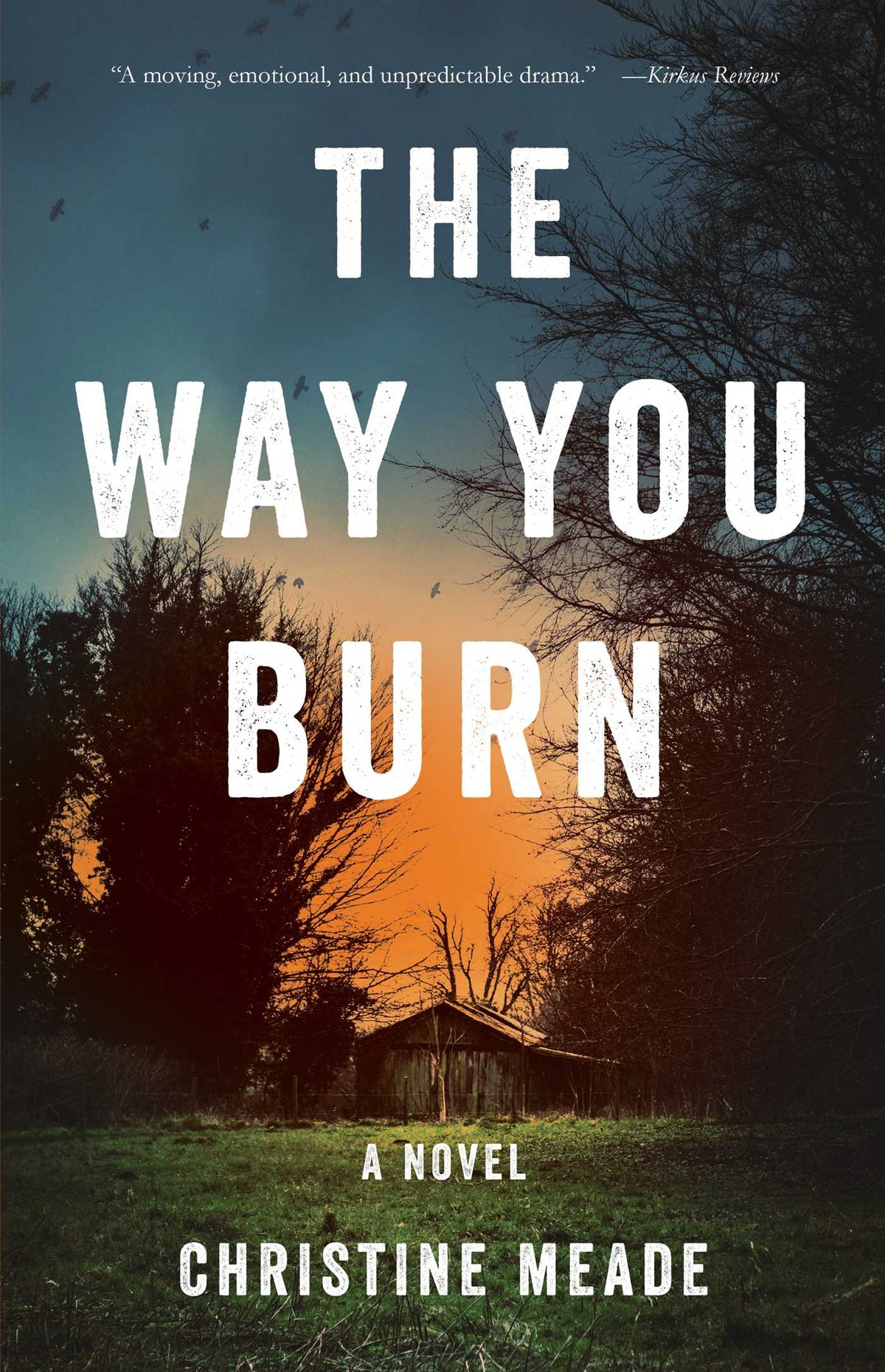 Way You Burn: A Novel
