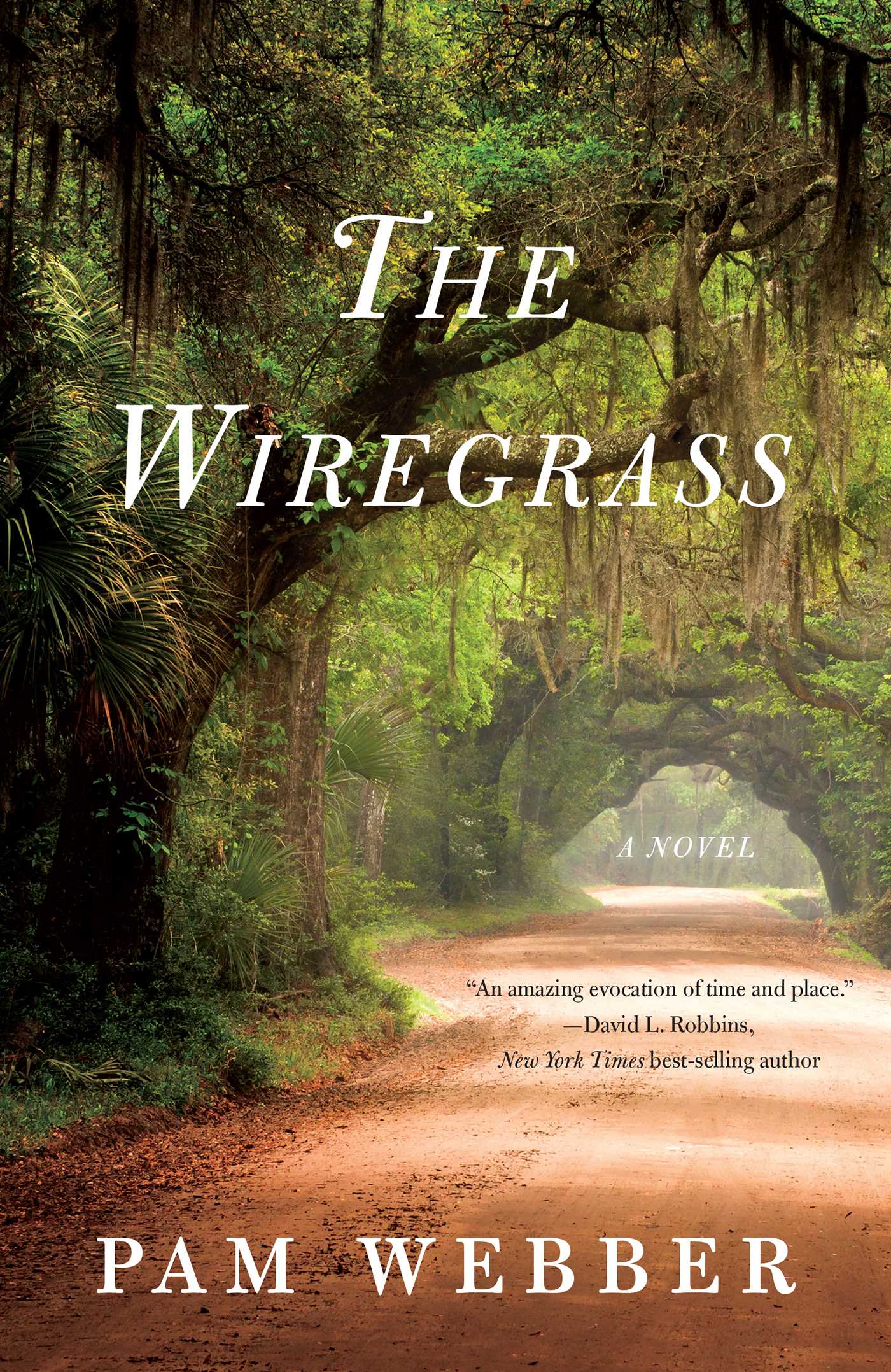 Wiregrass: A Novel