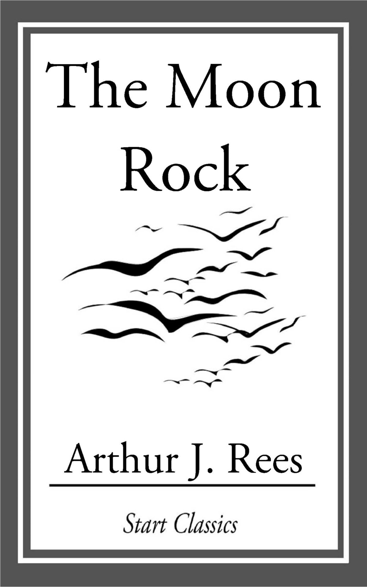 Moon Rock