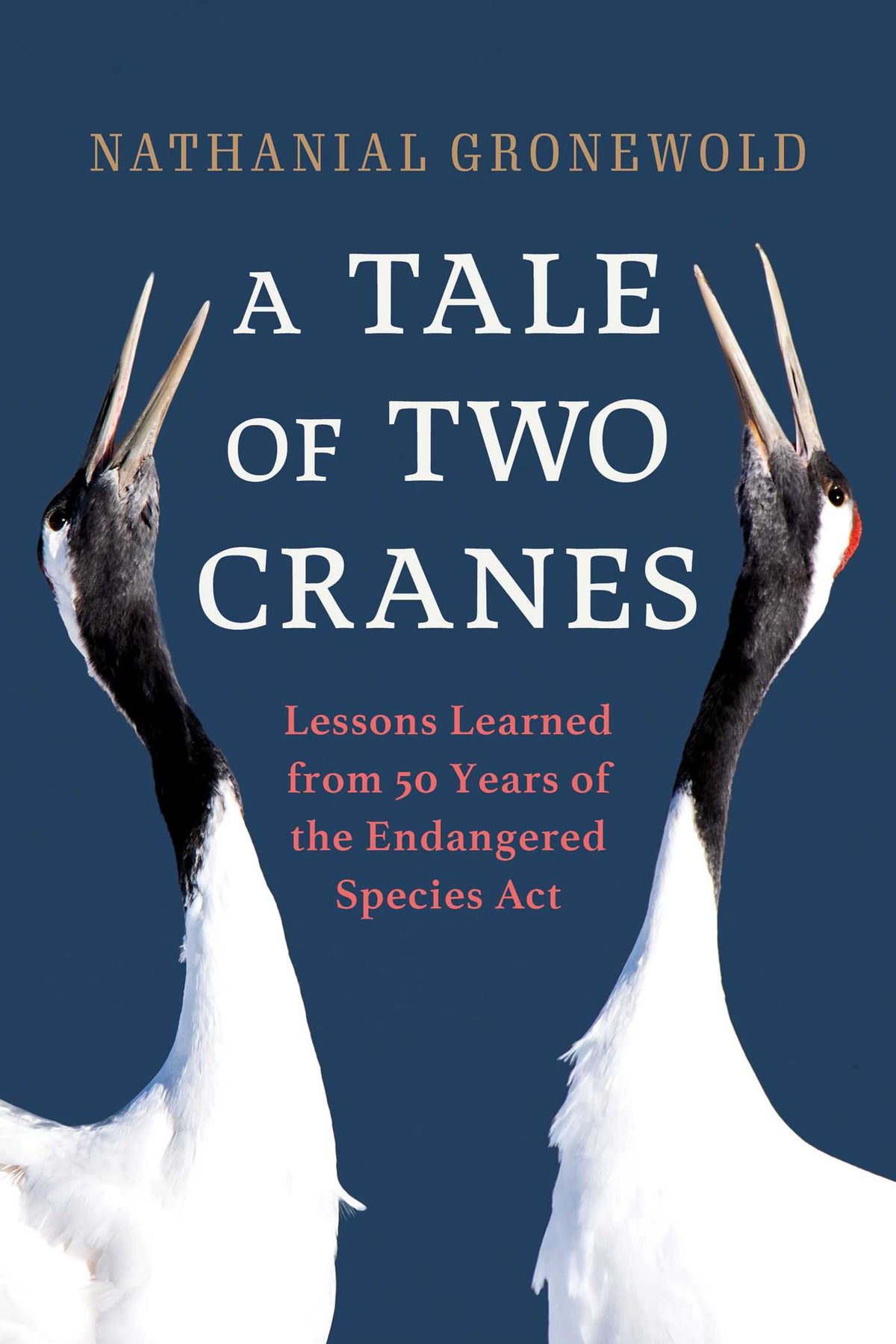 Tale of Two Cranes: Lessons Learned from 50 Years of the Endangered Species Act