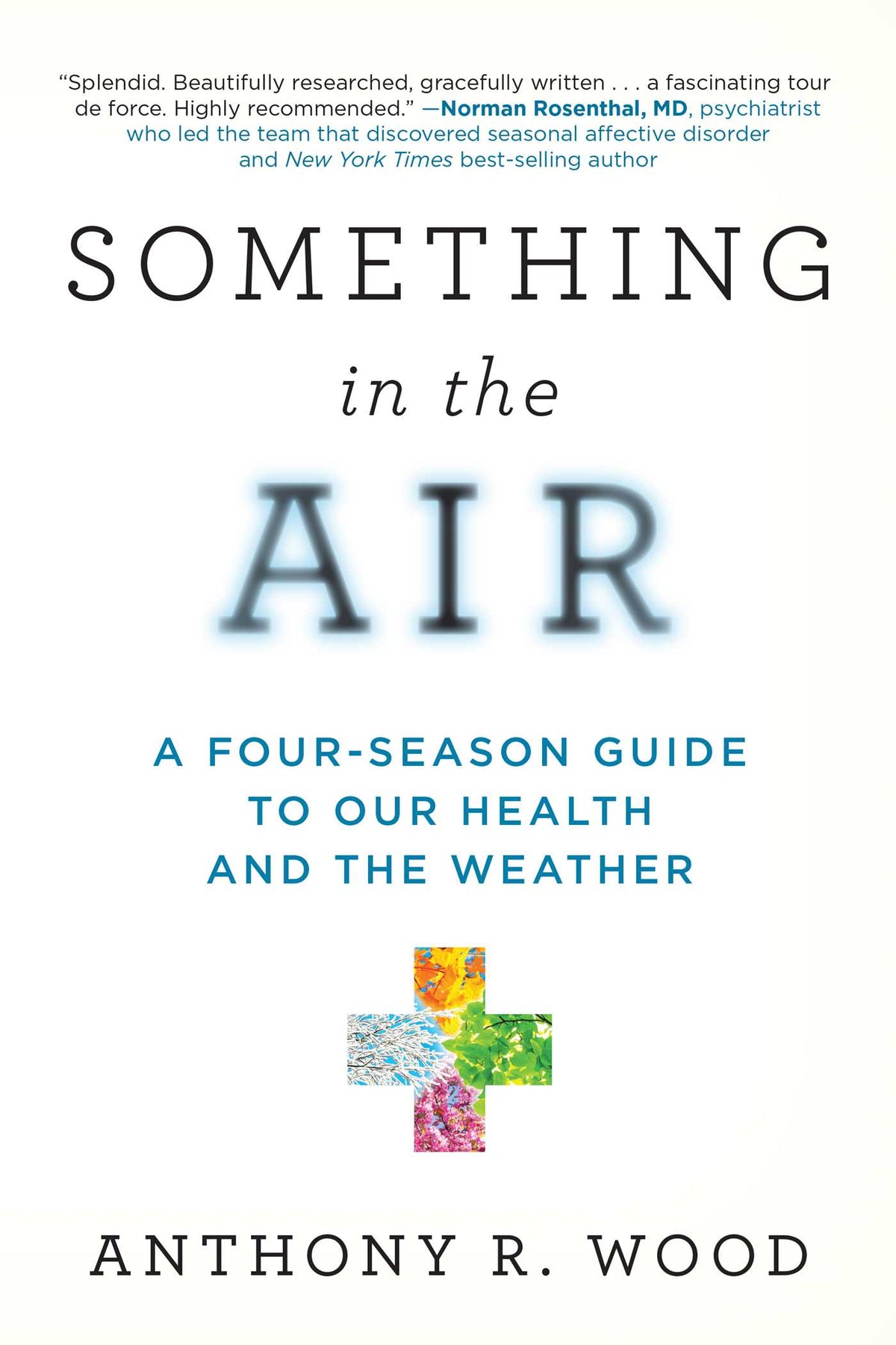Something in the Air