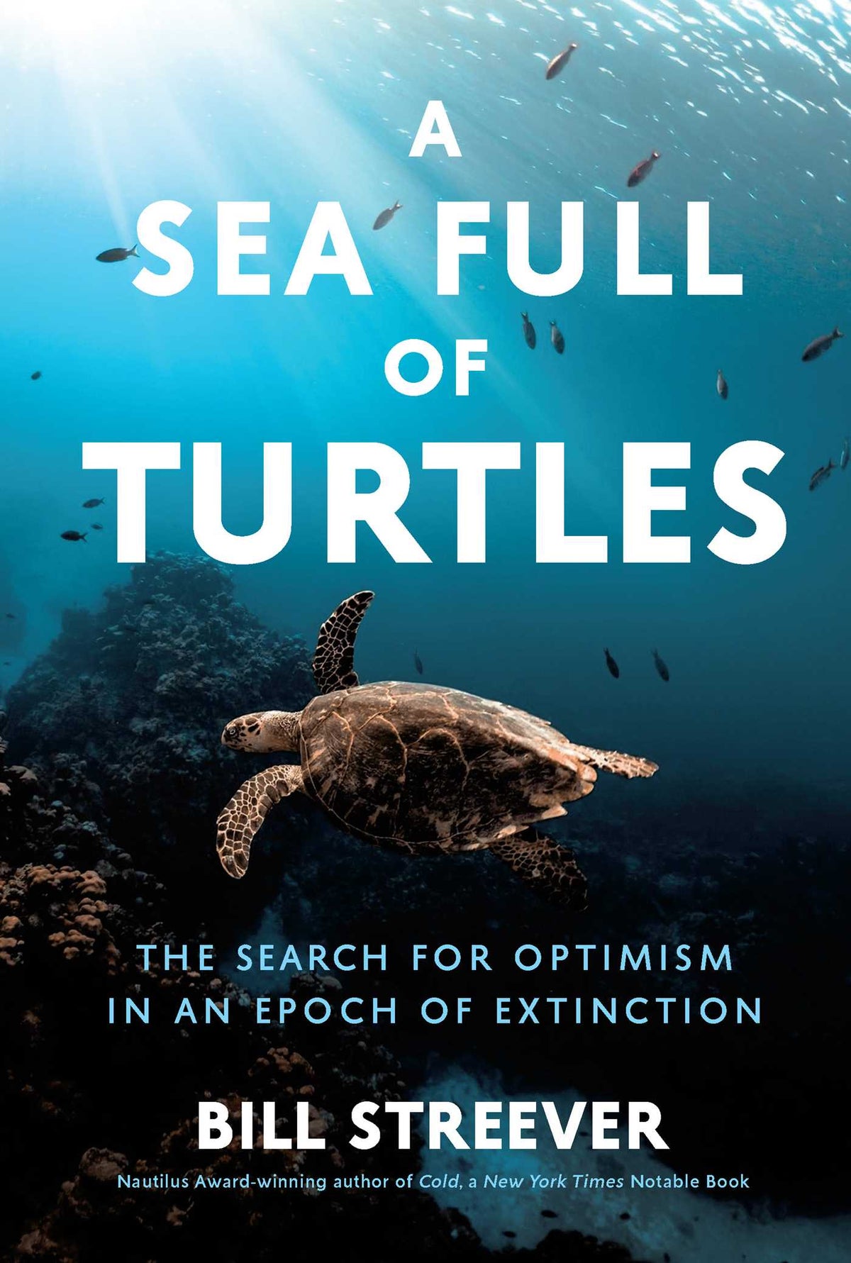 Sea Full of Turtles: The Search for Optimism in an Epoch of Extinction