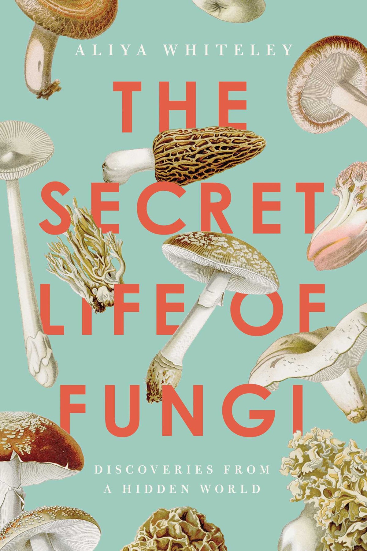 Secret Life of Fungi: Discoveries From a Hidden World