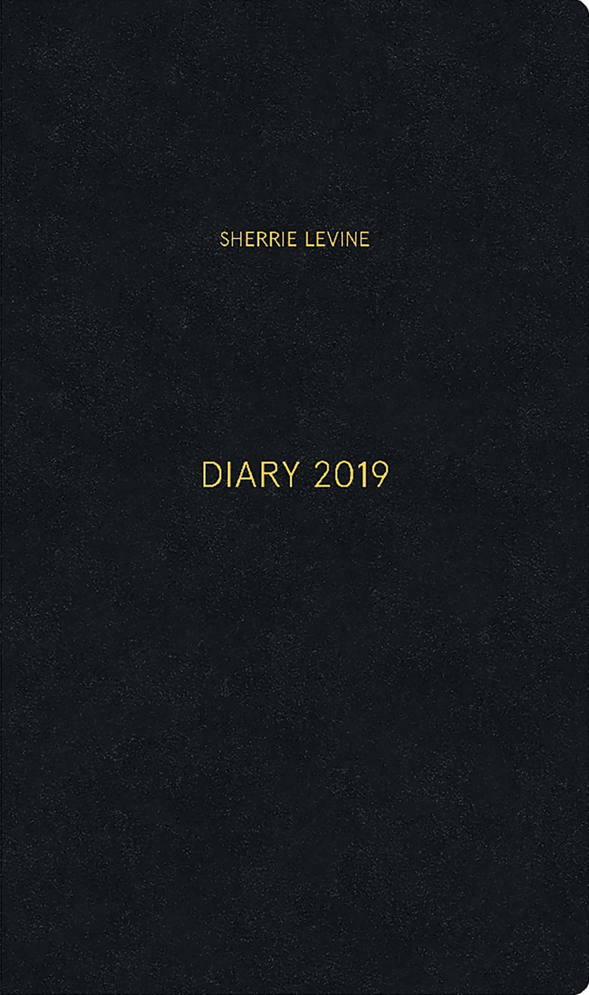 Sherrie Levine: Diary 2019