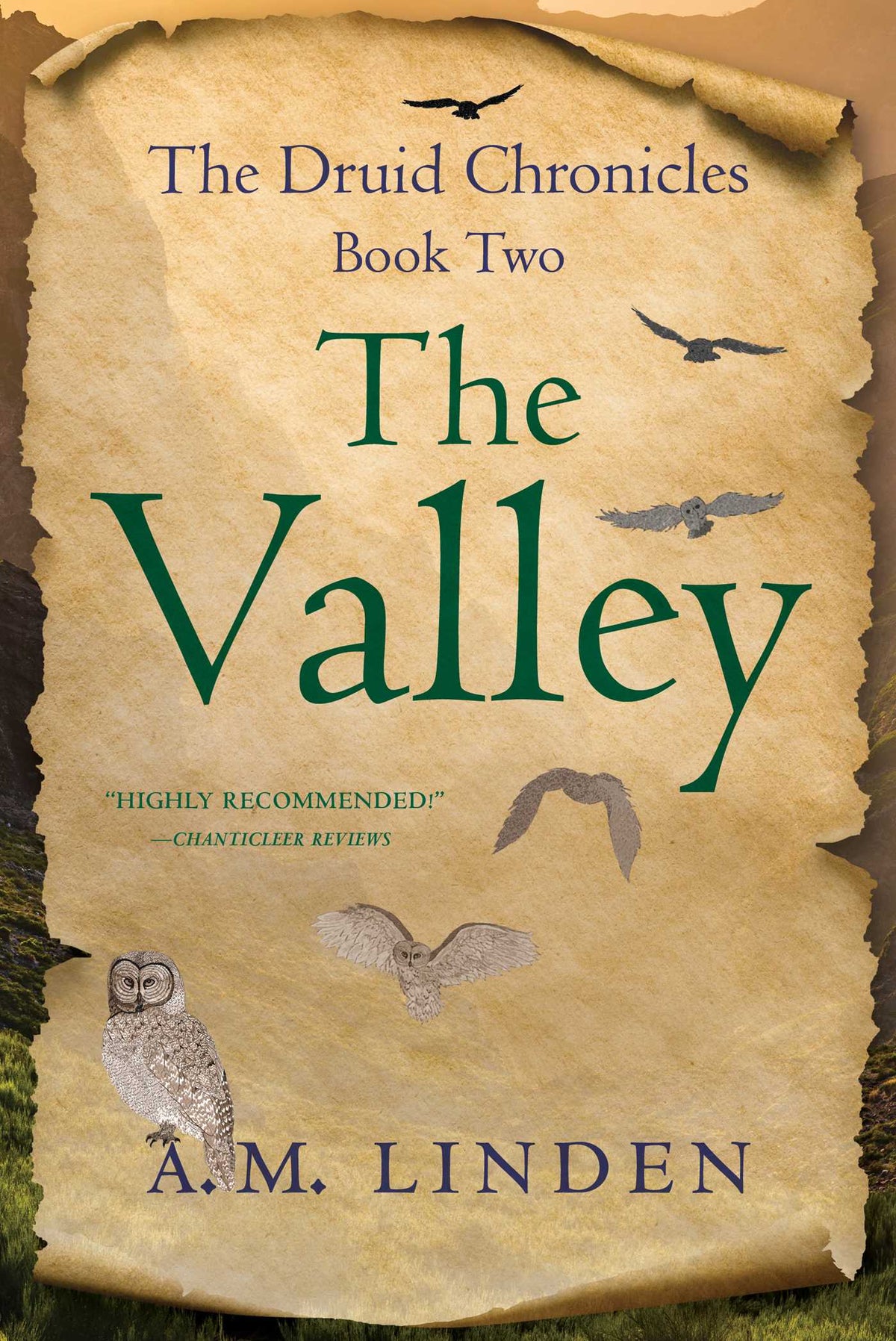Valley: The Druid Chronicles, Book Two