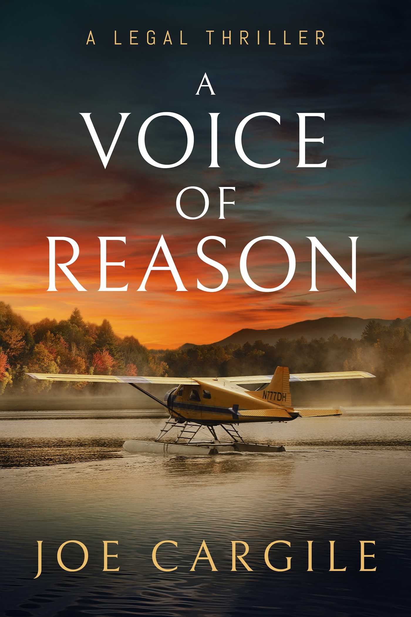 Voice of Reason: A Legal Thriller
