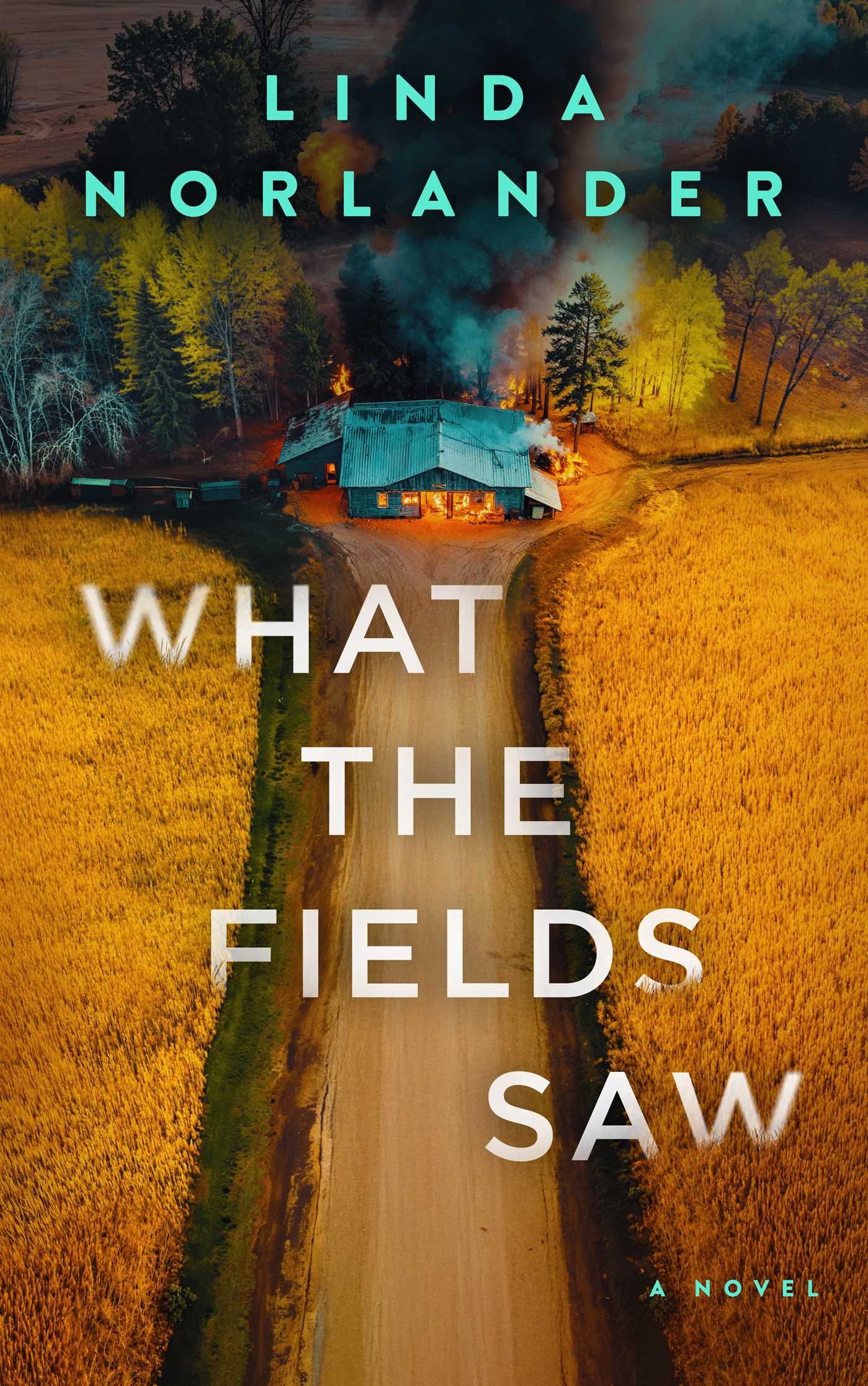 What the Fields Saw