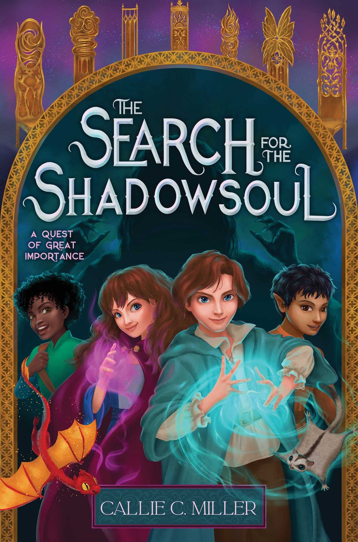 Search for the Shadowsoul