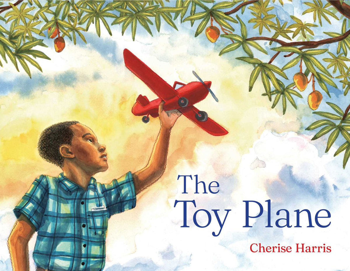 Toy Plane