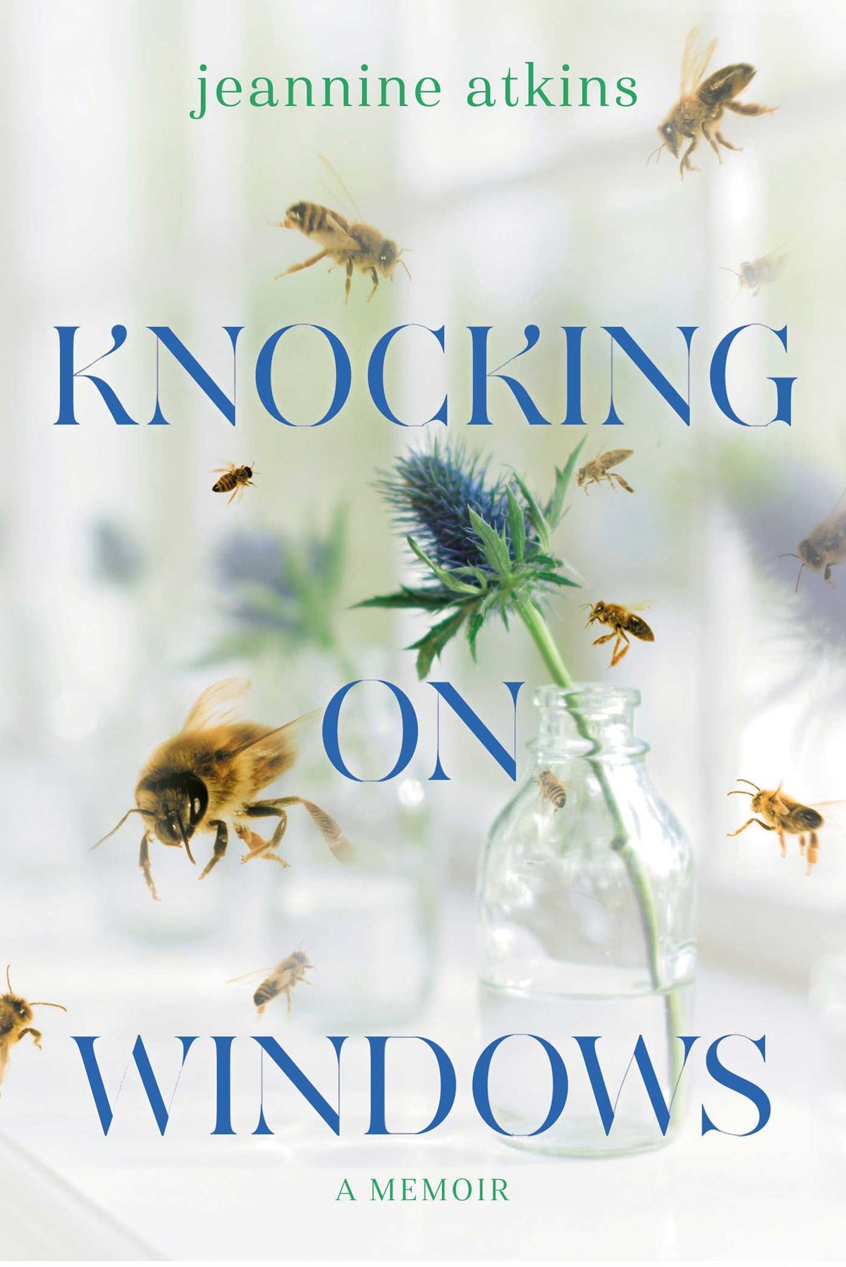 Knocking on Windows